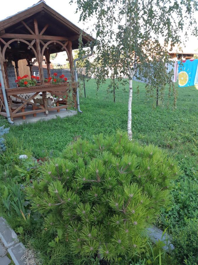 Ibolya-Imola Bed & Breakfast Praid Exterior foto