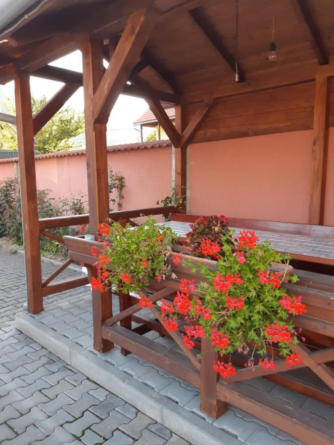 Ibolya-Imola Bed & Breakfast Praid Exterior foto